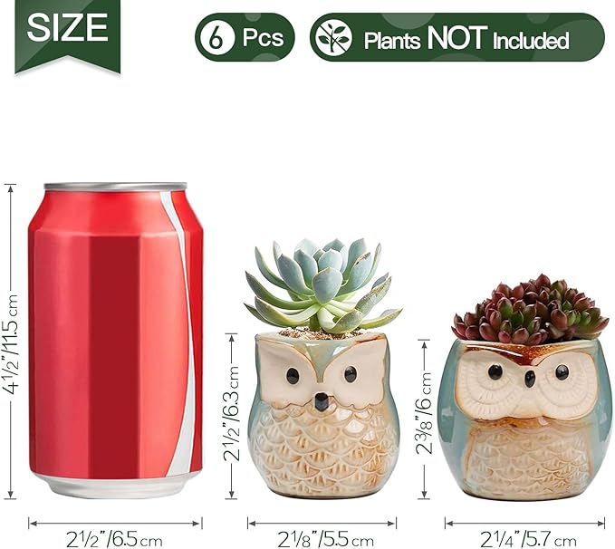 T4U 2.5 Inch Owl Ceramic Succulent Planter Pots with Drainage Hole Set of 6, Small Cute Flower Pots Plant Holder Container Best for Home Office Garden Decoration Owl Gift Ideas
