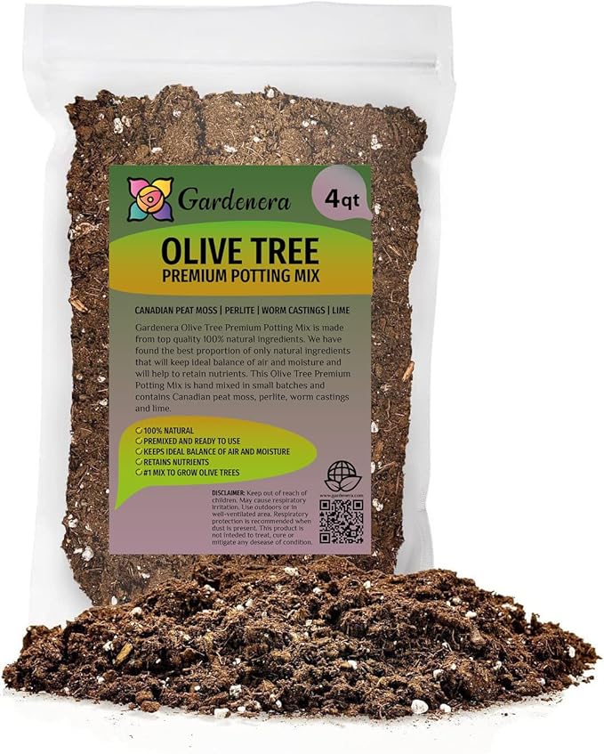 Olive Tree Premium Potting Mix - Create a Mediterranean Paradise in Your Backyard - 4 Quart