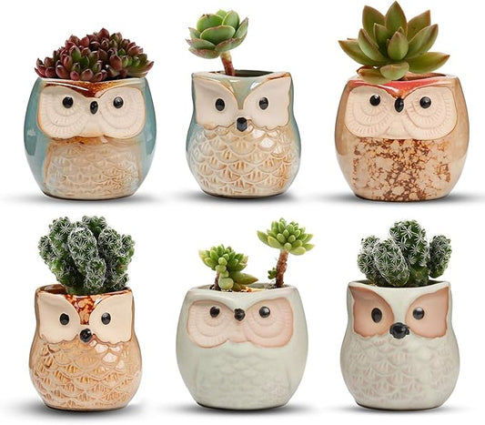 T4U 2.5 Inch Owl Ceramic Succulent Planter Pots with Drainage Hole Set of 6, Small Cute Flower Pots Plant Holder Container Best for Home Office Garden Decoration Owl Gift Ideas