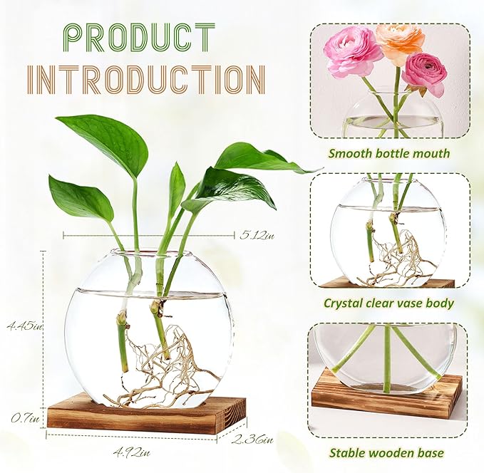 2 Pack Plant Propagation Station with Wooden Base Glass Terrariums for Indoor Plants Decorative Round Vases for Flowers Hydroponic Planter for Home Office Decor