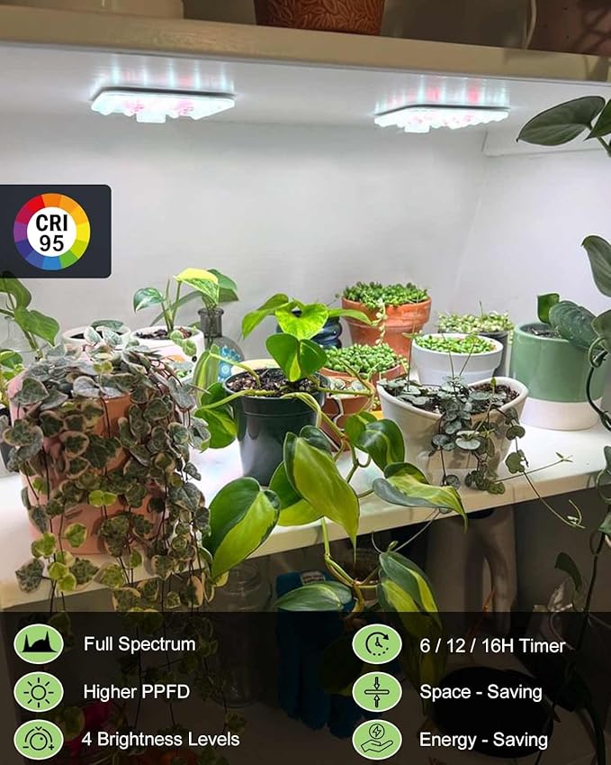 DOMMIA Grow Light, Square 4 Dimmable Full Spectrum High PPFD with Optical Lens, Auto on/Off and 6/12/16H Timer, Suitable for Hydroponics, Seedlings, Succulents, Veg, Flowers & More(No Adapters)