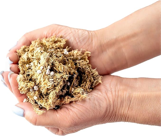 Sphagnum Moss Potting Mix for Carnivorous Plants, Moss and Perlite Blend for Potting Venus Fly Traps, Sarracenia, Pitcher Plants - 75% Sphagnum Moss + 25% Perlite - Made in USA - 2 Quart