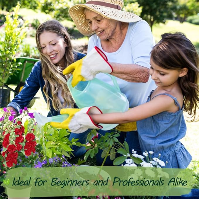 Premium Rare Hollyhock Seeds – 400+ Queeny Dwarf Hollyhock Flower Seeds – Non-GMO, Heirloom Perennial – Showy Blooms for Outdoor Planting (Queeny Hollyhock)