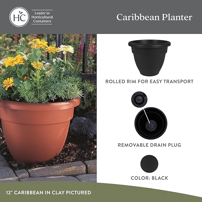 The HC Companies 8 Inch Caribbean Planter - Lightweight Indoor Outdoor Plastic Plant Pot for Herbs and Flowers, Black