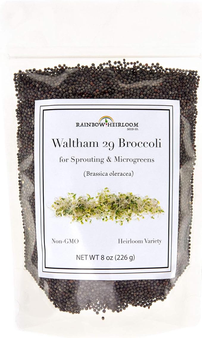 Broccoli Seeds for Sprouting & Microgreens | Waltham 29 Variety | Non GMO & Heirloom Seeds | 8 oz Resealable Bag | Rainbow Heirloom Seed Co.
