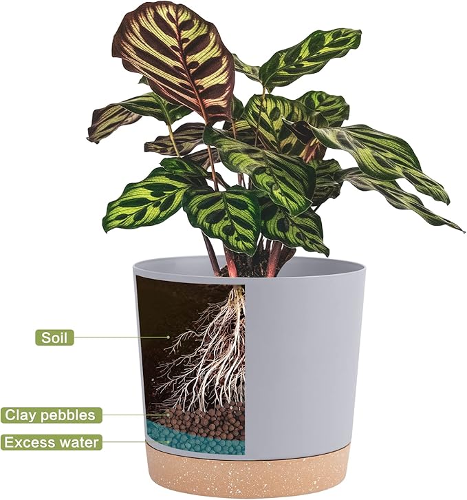 QCQHDU 12 inch Plant Pot, 2 Pack Planters for Indoor Plants with Drainage Holes & Saucer, Outdoor Flower Pots Home Garden Modern Decor