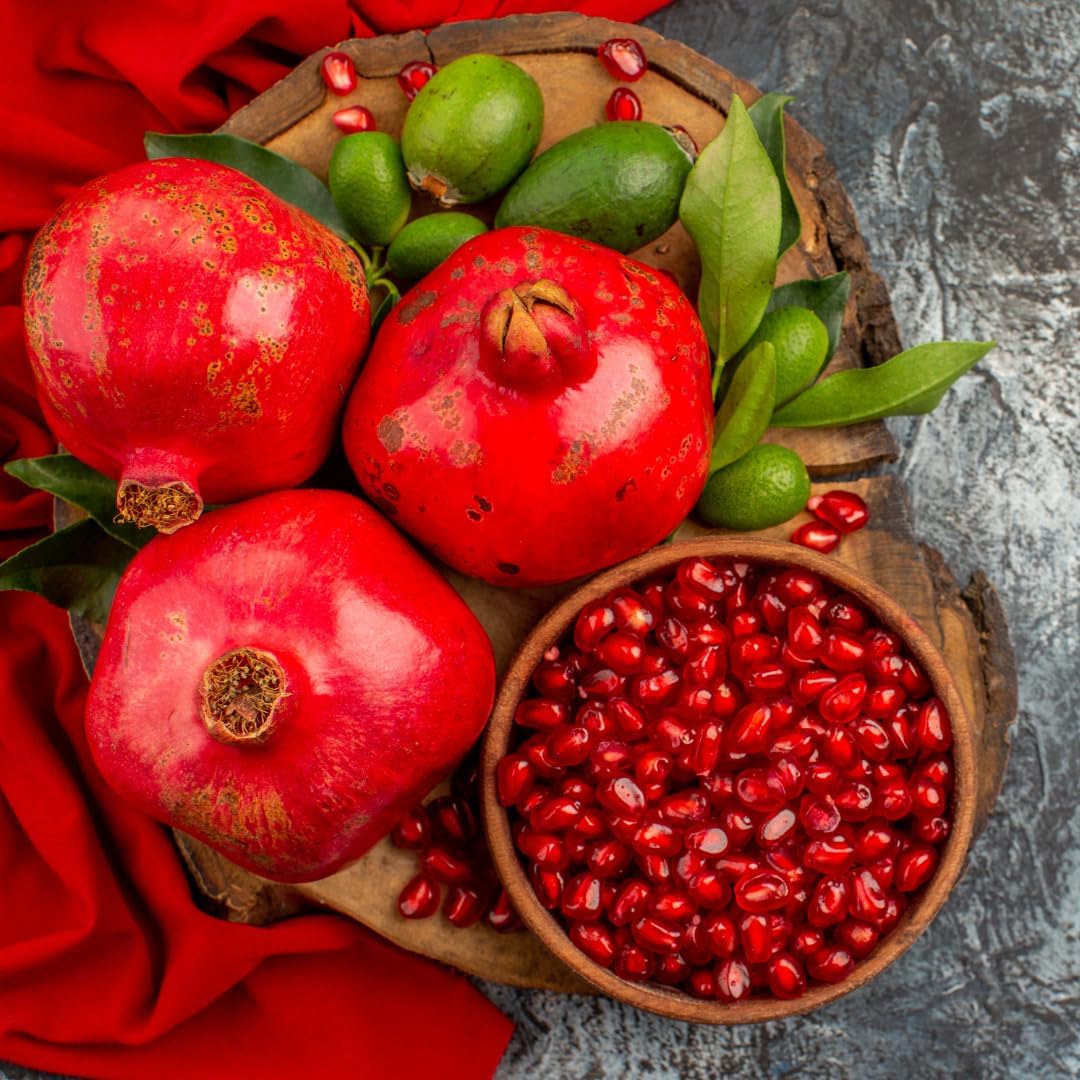 Pack 2 Potted Wonderful Pomegranate Tree Live Plant - Hardy Red Pomegranate Bush - for Gardens and Pots- Full Roots and Easy to Plant, Size 10 to 15 Inch Tall