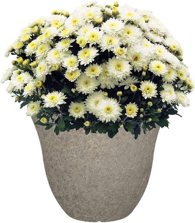 Classic Home and Garden Honeysuckle Resin Flower Pot Planter, Stone Grey, 15"