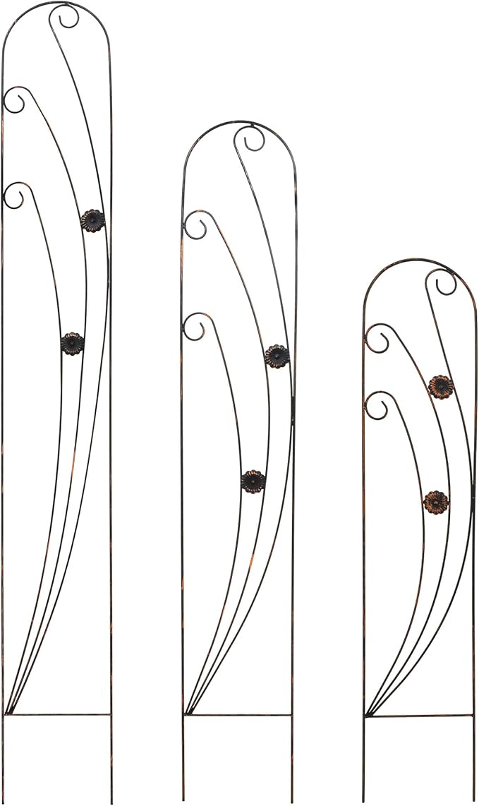 Arcadia Garden Products TR08 Phoenix Trellis 5' x 10", Black