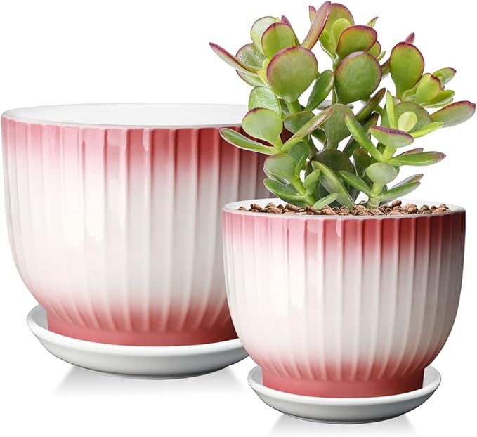 6.7 + 5.5 Inch Plant Pot, Ceramic Planter with Drainage and Saucer, Ceramic Pots for Plants, Indoor Plant pots,Ceramic Flower pots（Pink + White, Plants NOT Included）