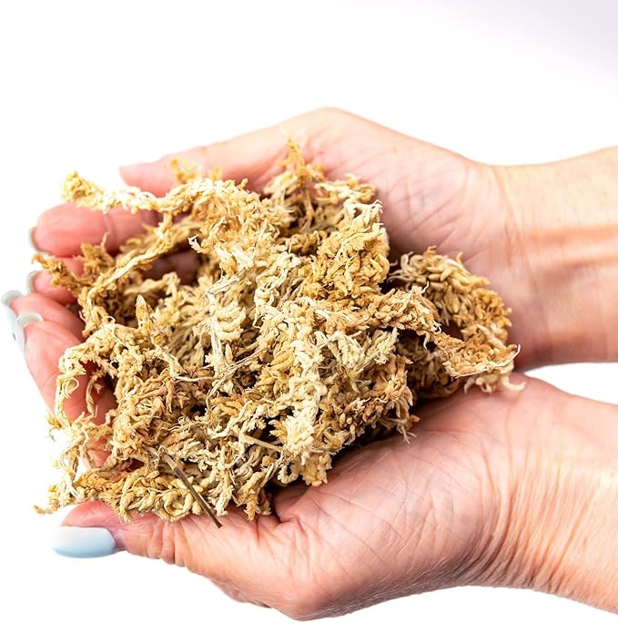 Premium New Zealand Sphagnum Moss by Gardenera - Organic Hand Mixed Long Fibered Sphagnum Moss Orchid - 4 Quart