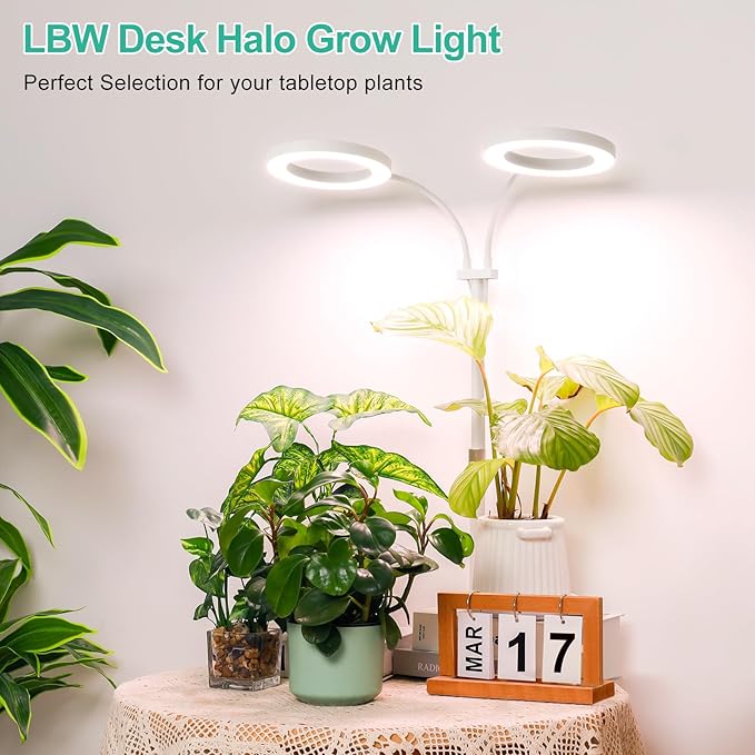 LBW Halo Plant Grow Lights, Dual-Head Desk Grow Light for Indoor Plants, 72x2 LEDs Full Spectrum Grow Lamp with 4/8/12H Auto Timer, 4-Level Brightness, Flexible Gooseneck, Height Adjustable, White