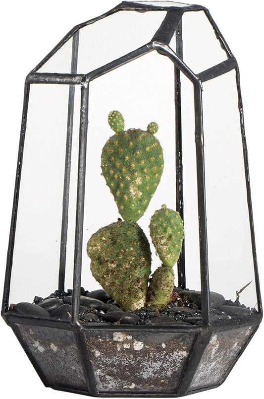 NCYP Small Geometric Terrarium - 4.1" x 3.5" x 5.9" Miniature Irregular Glass Terrarium Planter for Succulent Air Plants - Tabletop Garden Display Container, Black (No Plants, No Door)