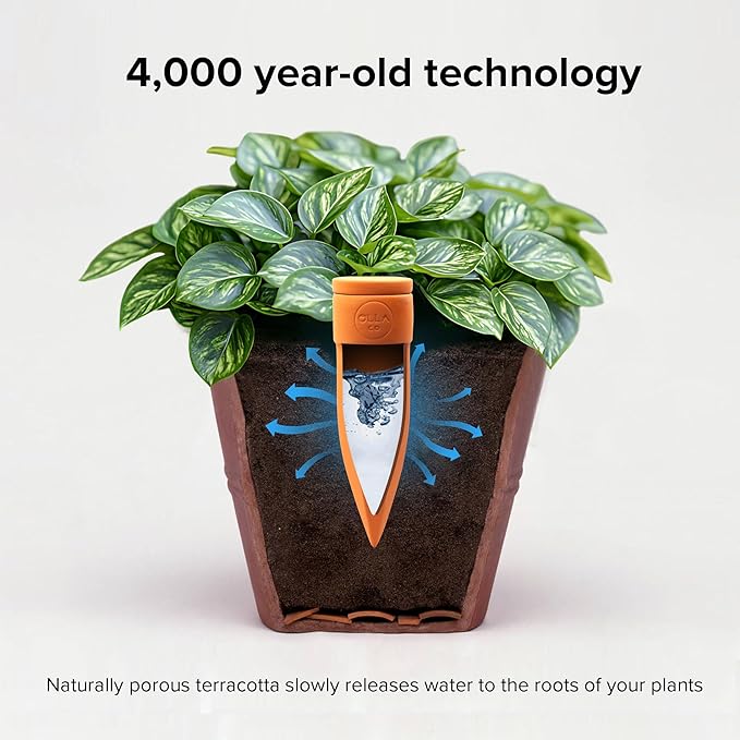 Terracotta Plant Watering Spikes - Medium - Set of 4 with Lids Ideal for 5"-8" Pots Perfect Vacation Plant Watering System & Everyday Use for Busy Plant Lovers to Water Plants