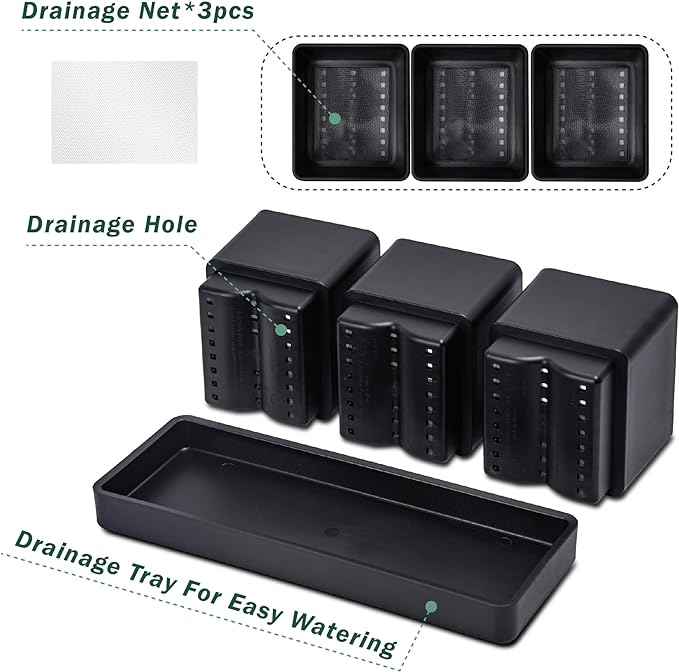 D'vine Dev Herb Garden Planter Set, Plastic Plant Pots with Drainage and Saucer, Indoor Succulent Cactus Vegetable Pot for Windowsill, Garden Balcony, Black, Set of 2, 76-V-B-2