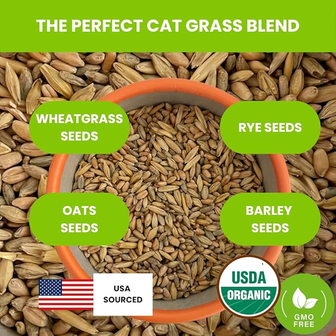 ZESTIGREENS Organic Cat Grass Seeds - Non-GMO Blend of Wheat, Oats, Rye & Barley for Indoor Cats | Seeds Come in Food Grade Container with Lid for Easier Scooping & Keeping Fresher (0.5 lb)
