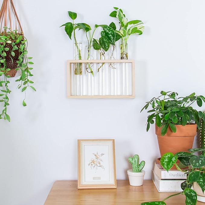 Ivolador Plant Propagation Station Terrariumin Wall Test Tube Vases Bud Tabletop Glass Wooden Stand with 5 Propagation Tubes for Propagating Hydroponic Plants Home Garden Wedding Decoration-Beige