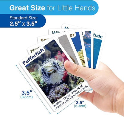 BenBen Go Fish Card Game for Kids, 104 Cards, Ocean Theme Memory Matching Game, Sea Animals Learning Playing Cards, Picture Cards with Real Photos, Fun Facts, 2-8 Players