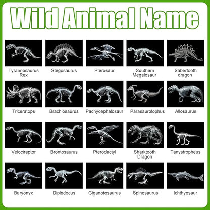 Chunful 20 Pcs Animal X-Ray Kit Wildlife X-Ray Flash Cards Educational Science Kit Light Table Toys Accessory, 11.7" x 8.3'' (Dinosaurs)
