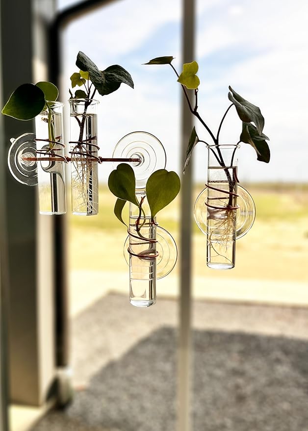 The Little Window Propagator- Window Plant Propagation Station with Removable Glass Test Tubes, Indoor Clippings, Cut Flowers, Herbs, Succulents | Home Decor | Plant Lover Gift