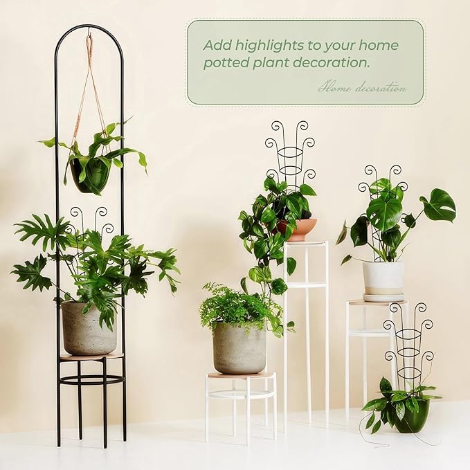 4 Pack 30 Inch Tall Metal Plant Trellis for Climbing Plants Indoor - Rustproof Garden Trellis for Potted Houseplants, Sturdy Support for Ivy, Pothos, Monstera, Hoya & Flower Vines