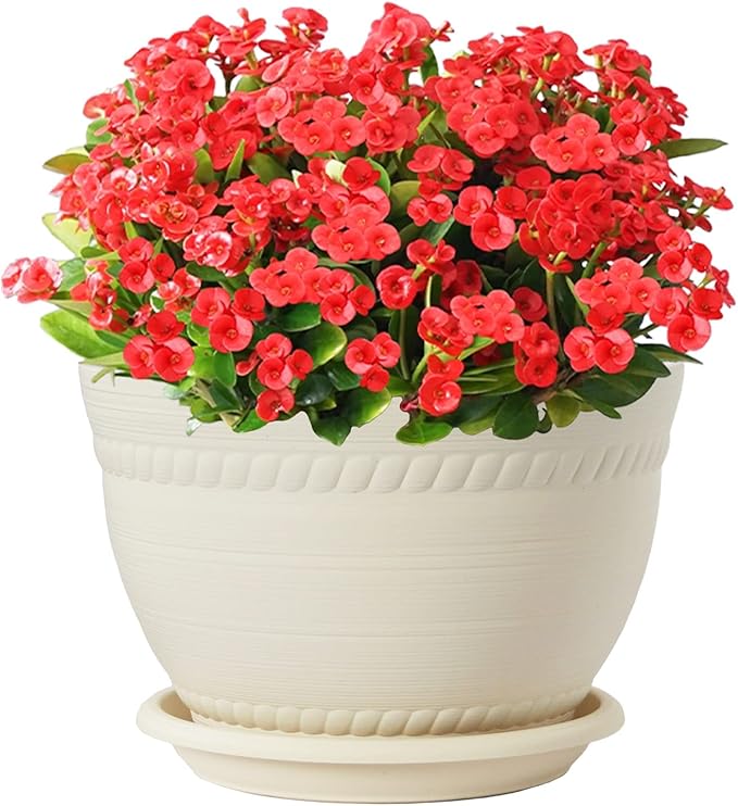 Macrame Plant Hanger with Pot, 3 Set Hanging Planters for Indoor Plants, Handmade Cotton Rope Boho Home Decor, Idea Gift for Anyone, Includes Plant Holders, Pots, Plates and Hooks (Ivory)