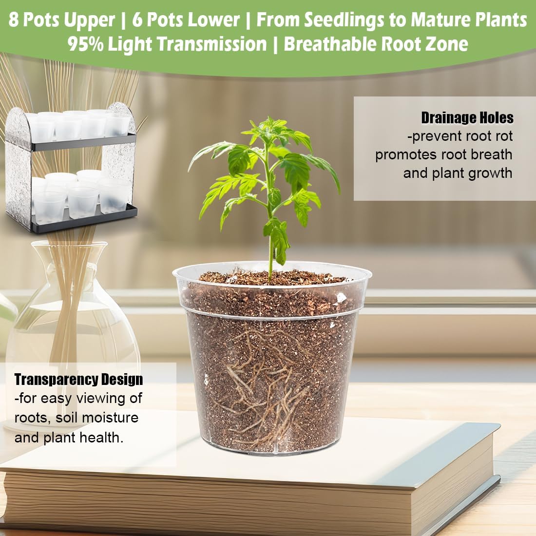 2-Pack Mini Plant Stands with 2.5" & 3" Clear Plastic Pots with Drainage Holes for Plants Indoor Seedling Small Succulent Windowsill Shelf as Gifts for Men Women