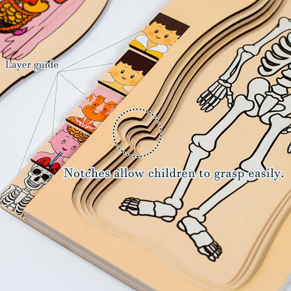 My Body Parts Puzzle for Toddlers Girls Boys Wooden Anatomy Puzzle 3-8 Years Old Preschool Learning Game Human Body Skeleton Toys
