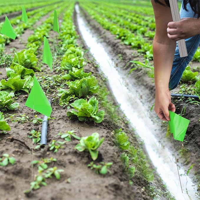 Zozen Marking Flags, Green Color | 1000 Pcs | 15x4x5 Inch, Yard Flags for Lawn & Irrigation & Landscape & Sprinkler & Survey & Dog Training.
