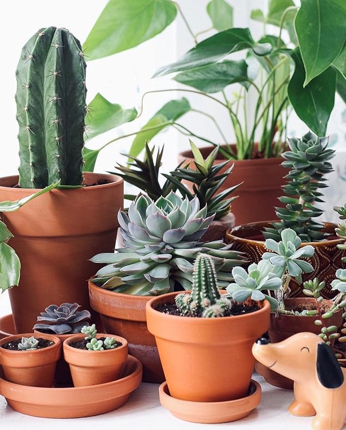 Terracotta Pots 6 Inch (4 Pack), Clay Pots for Plants with Drainage Hole and Saucer, Flower Pot with Tray, Large Terracotta Pot for Indoor Outdoor Plant