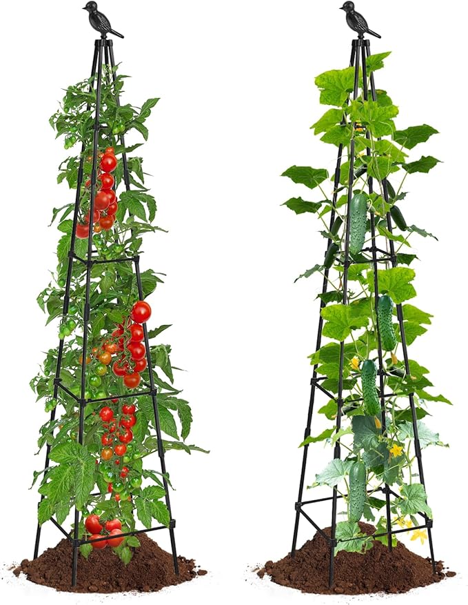 Trellis for Climbing Plants Outdoor, 2 Pack Plant Trellis Support for Climbing Vine, Plant Support Tower Cages Plastic Coated Metal Pipe Supports for Outdoor Indoor,Tomato cage (Black, 6 FT)