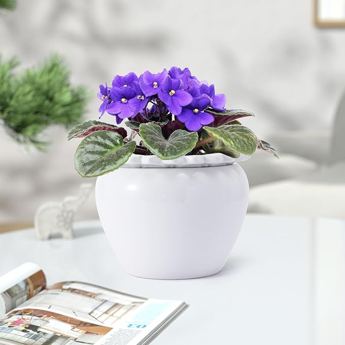Self Watering Plant Pot African Violet Pots Ceramic 6.5 * 4.6 * 4 inch White for Indoor Flowers and Plants Simple Plant Self Watering Pot Modern Decor Pots Efficient Absorption Water
