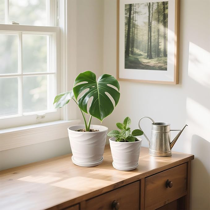 6.7 + 5.5 Inch Plant Pot, Ceramic Planter with Drainage and Saucer，Ceramic Pots for Plants, Indoor Plant pots，Succulent Orchid Flower Pot(Pure White)