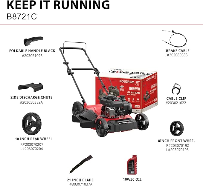 PowerSmart 21 in. Gas Lawn Mower with 125cc Briggs and Stratton E300 Engine, 2-in-1 Push Mower with Mulching & Side-Discharge