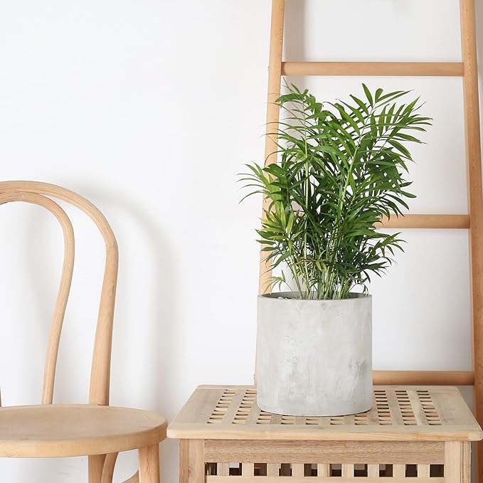 Plant Pots - 5.5 inch Cement Planters Indoor - Modern Grey Flower Pot with Drainage Hole - Home Office Decor