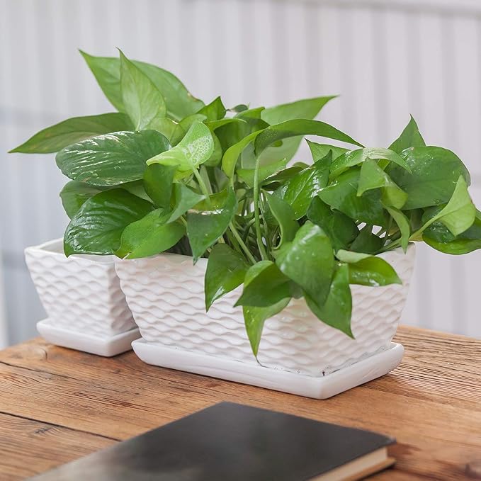 Brajttt Flower Pots,Rectangular Modern White Ceramic Succulent Pots with Drainage, Garden Pots with Hole, Ceramic Pots, Planter Box with Saucer 2 Set