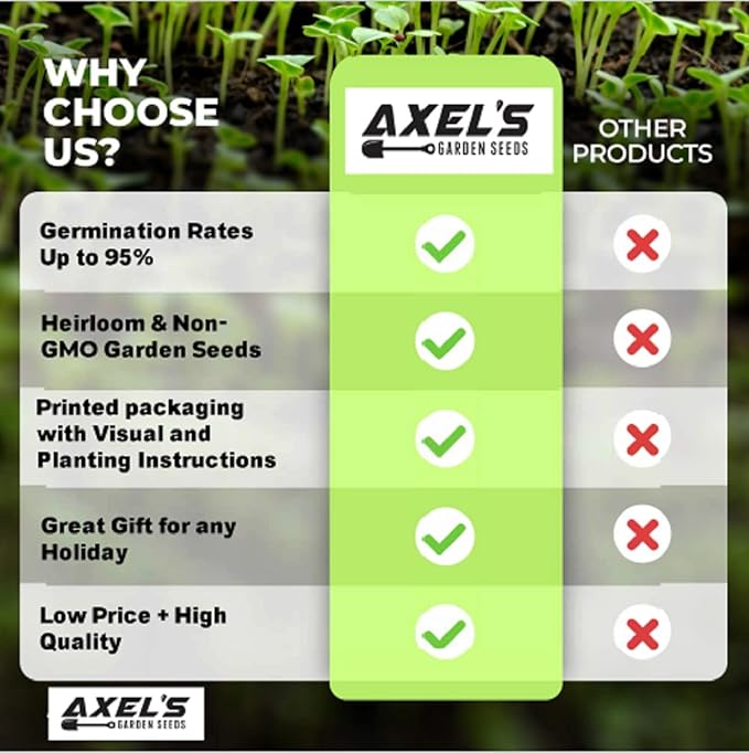 Zinnia Seeds for Planting – Non-GMO Heirloom Zinnia Flowers – Full Instruction Packets to Plant in Your Home Outdoor Garden – Gardening Gift – 50 California Giant Zinnia Seeds (2 Packets)