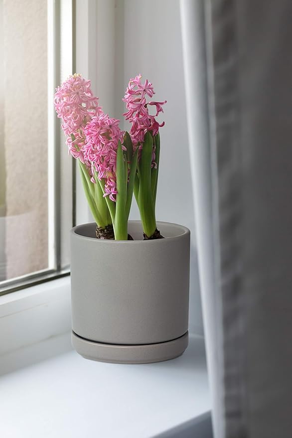 D'vine Dev Set of 2 Plants Pots, 6 Inch Ceramic Planter Pot for Plants with Drainage Hole and Saucer, Speckled Grey, 94-V-C-3