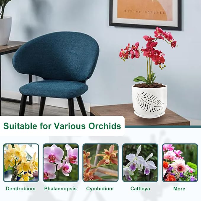 Orchid Pots with Holes, 5+6 Inch Orchid Pot,Ceramic Plant Pots for Plants Lovers, Enhance Good Ventilation and Drainage, Indoor/Outdoor Orchid Pots for Repotting