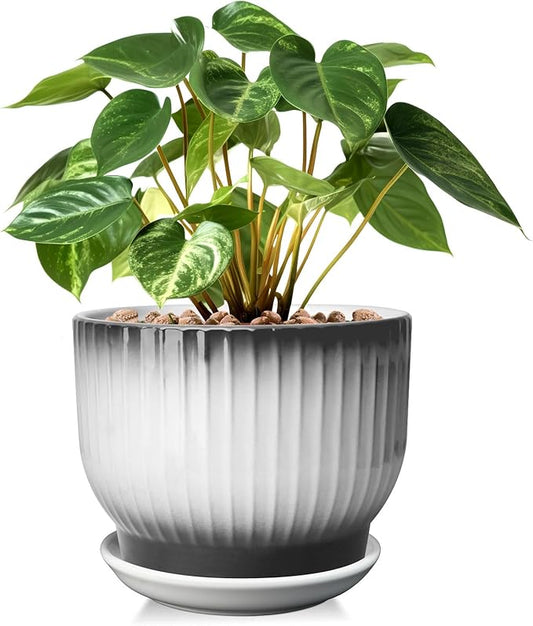 8 Inch Plant Pot, Ceramic Planter with Drainage and Saucer, Ceramic Pots for Plants, Indoor Plant pots,Ceramic Flower pots(Black + White, Plants NOT Included)
