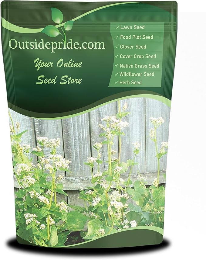 Outsidepride Buckwheat Seeds - 1oz Annual, Fast-Growing, Easy to Grow Buckwheat Cover Crop Seeds for Green Manure, Bee Pasture & Pollinators, Wildlife Habitat, Soil Improvement, and Erosion Control