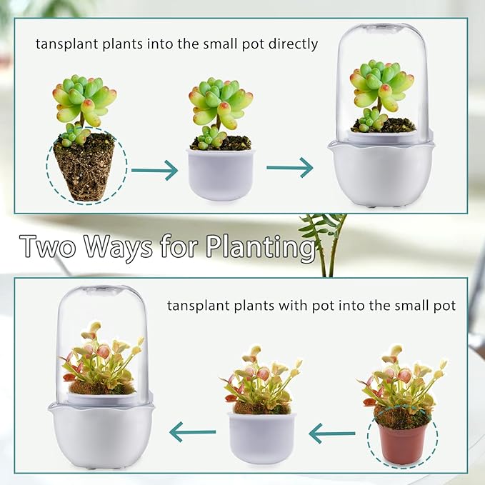 Venus Fly Trap Pot,Smart Planter with Timer and Fan,Small Terrarium Kit with Light and Drainage Hole for Carnivorous Plant,Succulent,Sundew Moss,Cactus,Pitcher(No Plant)