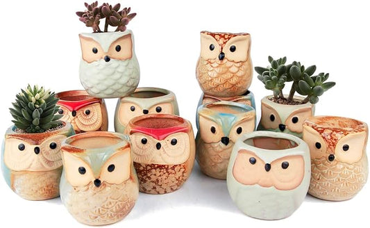 T4U 2.5 Inch Owl Ceramic Succulent Planter Pots with Drainage Hole Set of 12, Small Cactus Pots Cute Plant Holder Container Best for Home Office Decor Gardening Gift