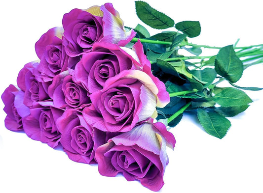 26inch Real Touch Artificial Roses - Long Stem Fake Silk Flowers with Leaves for Wedding, Home Decor, Centerpieces, Office Party, Looks Real (10,Hot Pk)