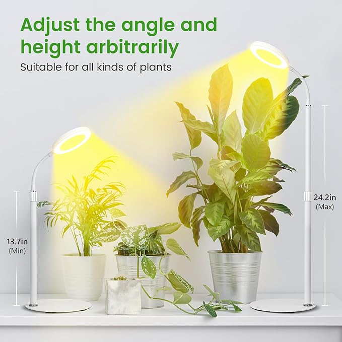 Grow Lights for Indoor Plants, Red Blue Yellow Full Spectrum Desktop Small LED Halo Plant Growing Lamps with Stand,Automatic Timer,24.2 inch Height Adjustable,10 Dimmable Levels,3 Lighting Modes,Mini