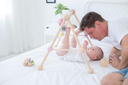 Play Gym - Pastel Series