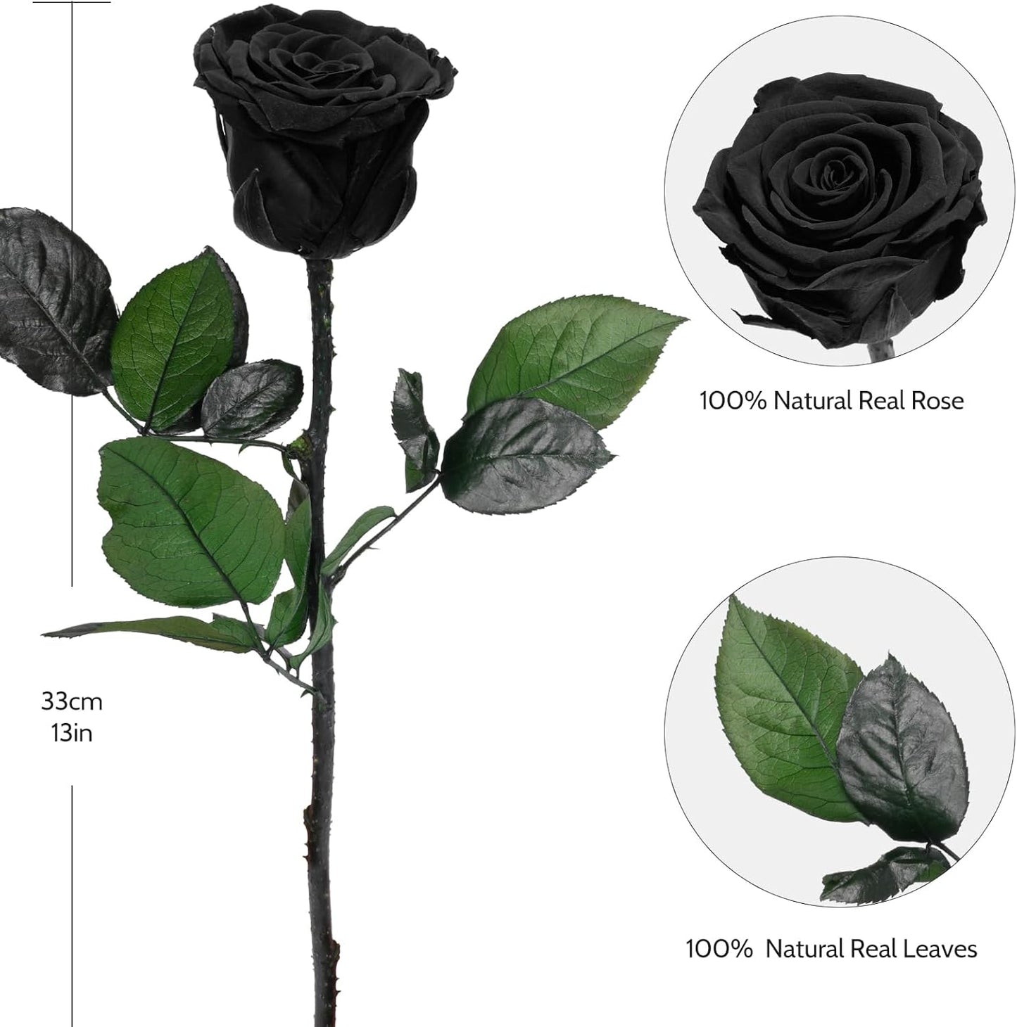 Yamonic Preserved Flowers Rose Gifts for Mom Grandma, Mothers Day Flowers Gifts for Mom, Real Flower Rose Birthday Gifts for Women,Her, Wife,Girlfriend Gifts on Christmas,Valentine's Day,Anniversary