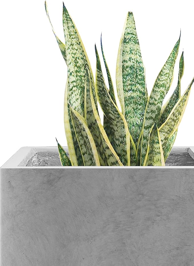 Kante 10 Inch Square Concrete Planter for Outdoor Indoor Home Patio Garden, Large Plant Pot with Drainage Hole and Rubber Plug, Natural Concrete