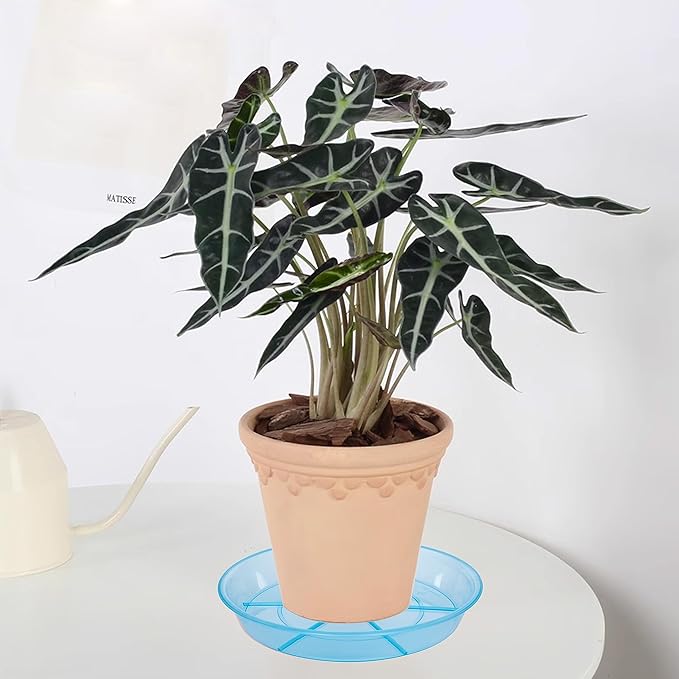 6 Pack Plant Saucer Drip Tray 7 8 inch, Plant Drainage Trays, Heavy Sturdy Plastic Planter Flower Pot Saucers for Indoor Outdoor Garden, Plant Water Drip Trays for pots (8", Blue)