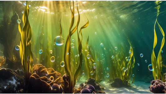 Aquarium Background Underwater Beautiful Coral Reef with Seaweed Bubbles Terrarium Backdrop Aquatic Plants Sunlight Rays Fish Tank Background Tank Aquarium Wallpaper Poster Decor Vinyl 48x24in